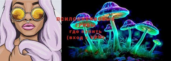 круглые Алзамай