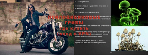 марки nbome Алексин