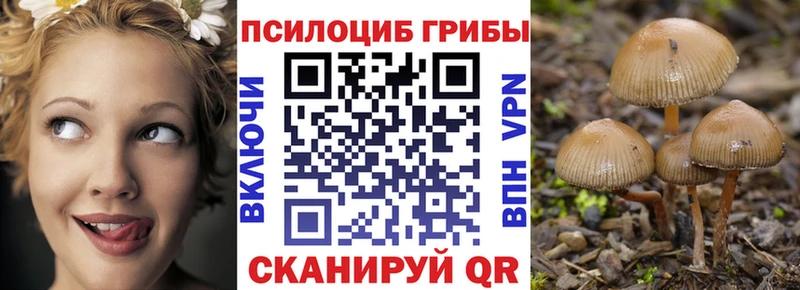 Галлюциногенные грибы GOLDEN TEACHER  ссылка на мегу рабочий сайт  Андреаполь  что такое наркотик 